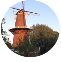 Thumbnail image for General Observations about the Dutch